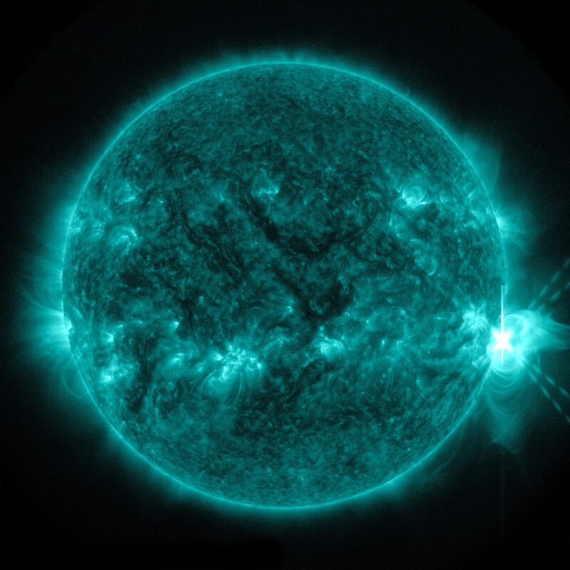 Solar Flares